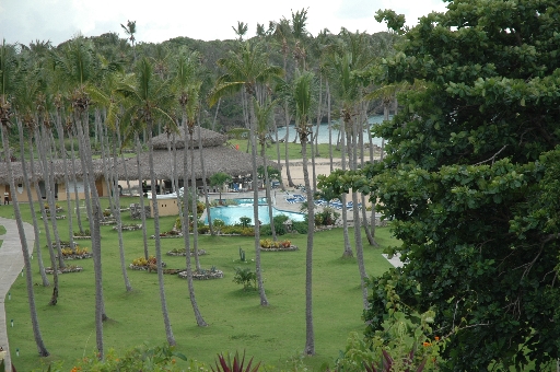 Lower pool from above 